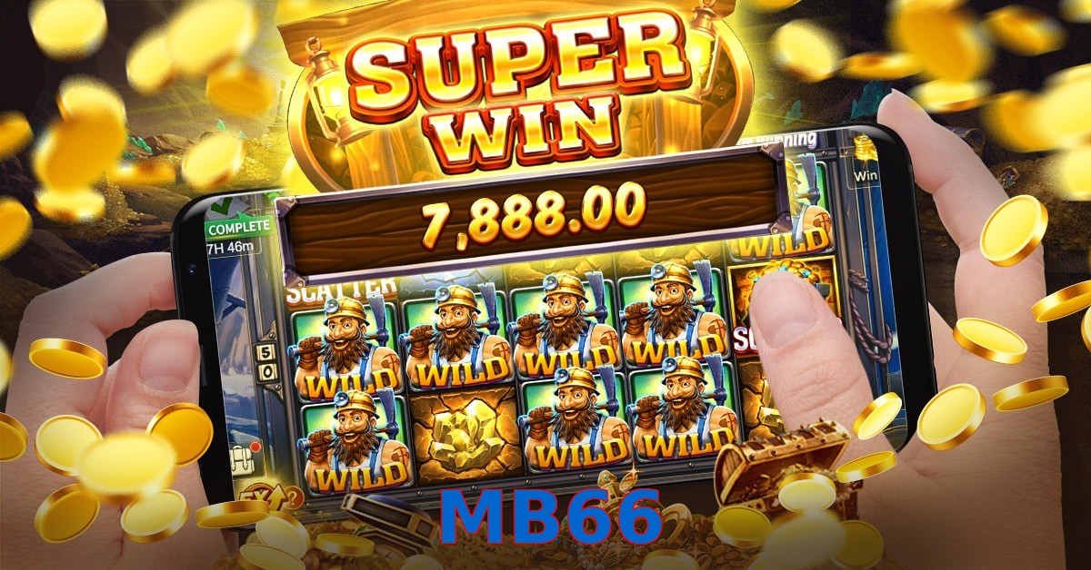 MB66