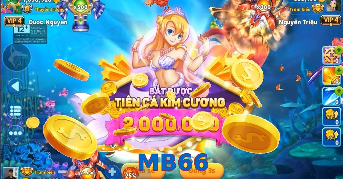 MB66