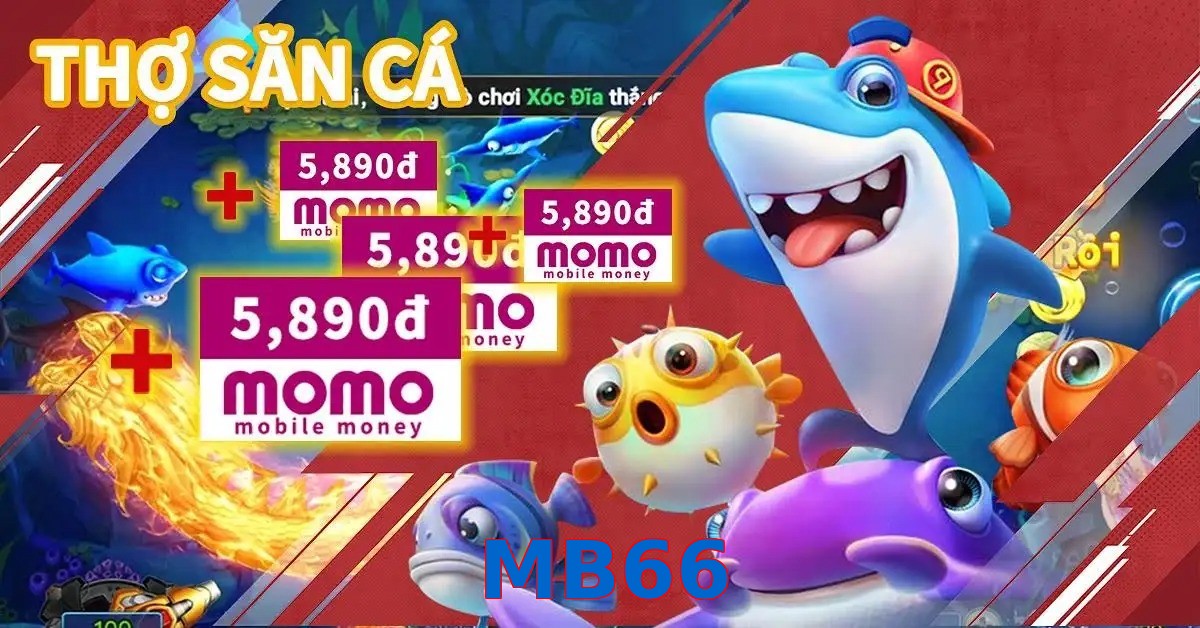 MB66
