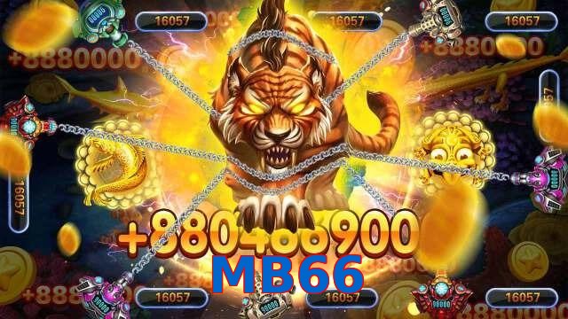 MB66