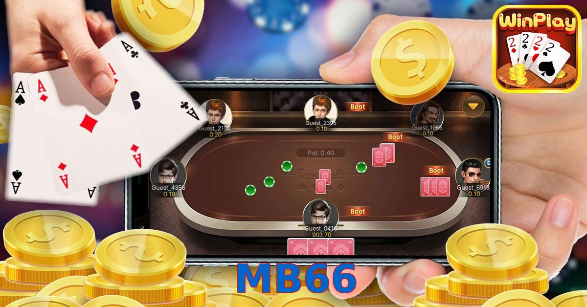 MB66