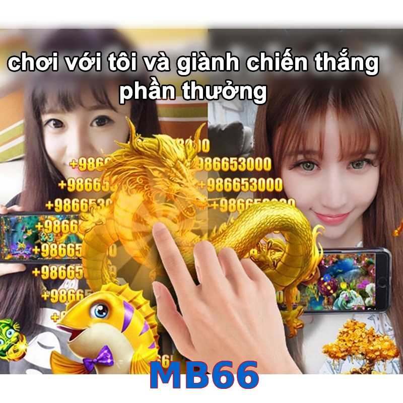 MB66